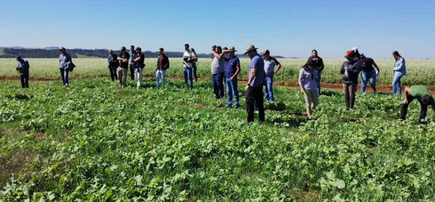 Produtores gaúchos utilizam agricultura regenerativa para diminuir custos