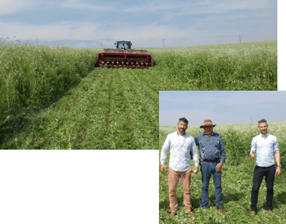 Foto: Aplicação dos princípios de Agricultura Regenerativa, 2021.