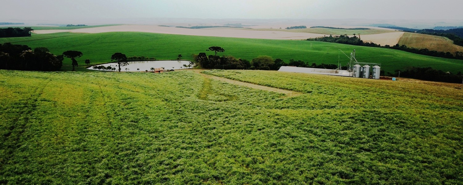 Foto: Vista aérea da Faz. Banhado Verde, 2021.