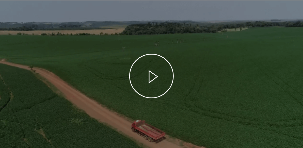 Confira a matria sobre a Fazenda Rebanho Verde